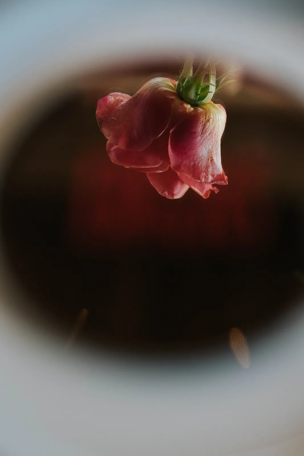 Wedding flower through glass ball bokeh creative detail – Japanese documentary wedding photographer Sydney